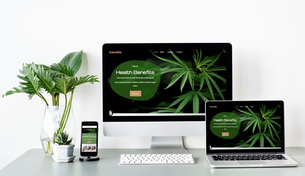 Portfolio Hero Image